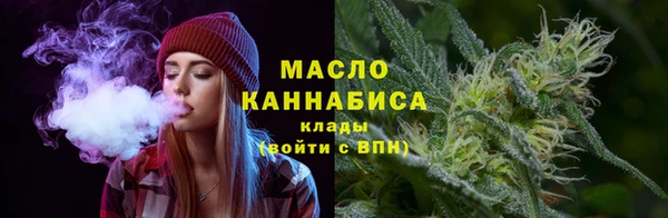 гашик Богородицк