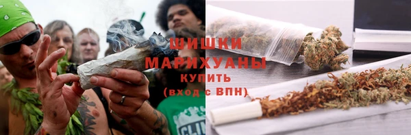 сатива Богданович