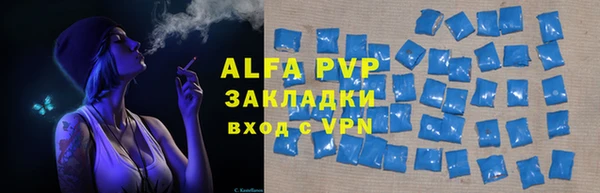 сатива Богданович