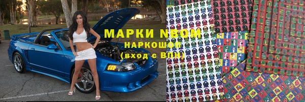 сатива Богданович