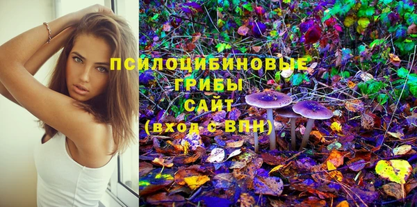 гашик Богородицк