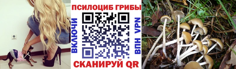 Купить закладки Агидель Псилоцибиновые грибы ЛСД